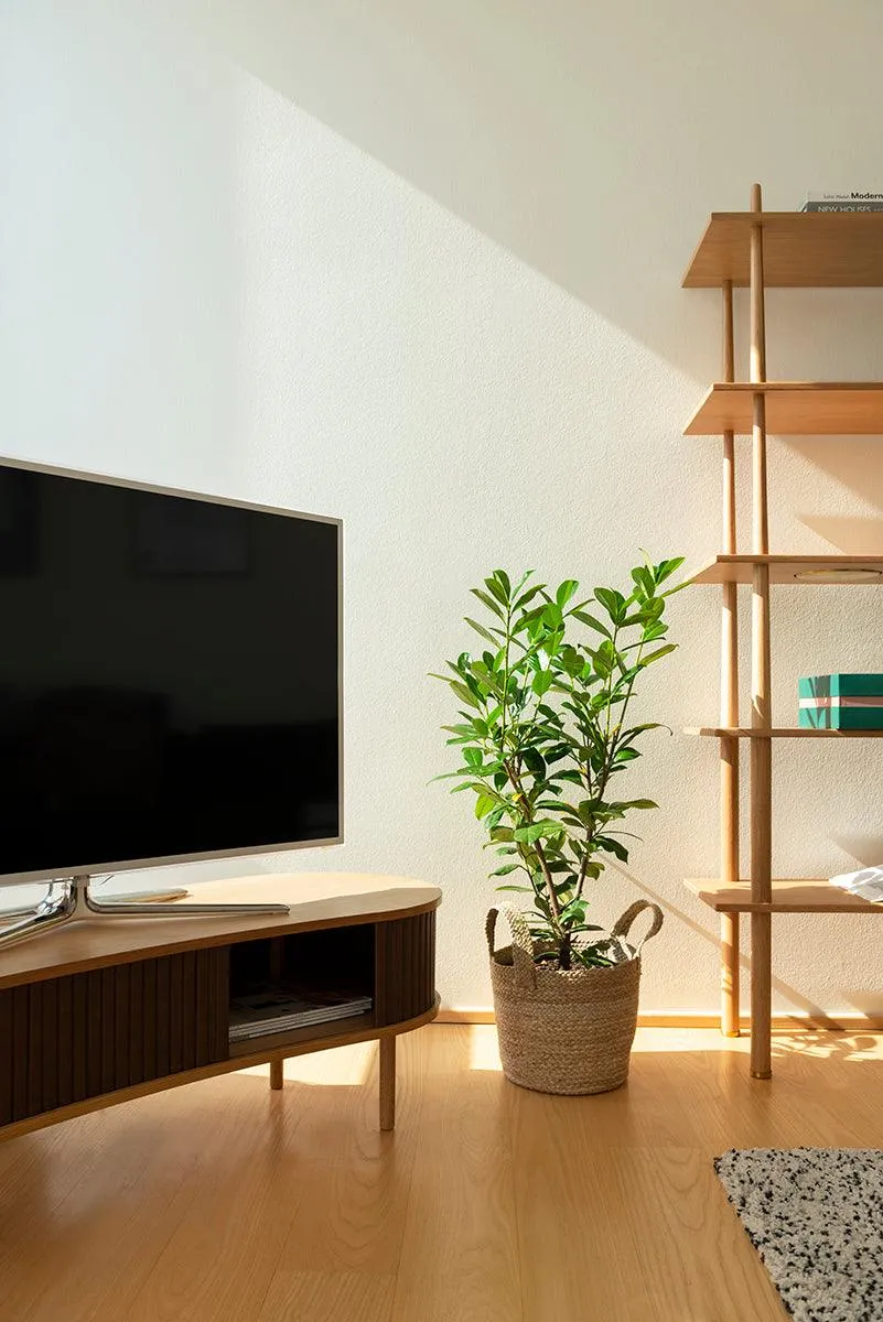 Audacious Leather TV Bench