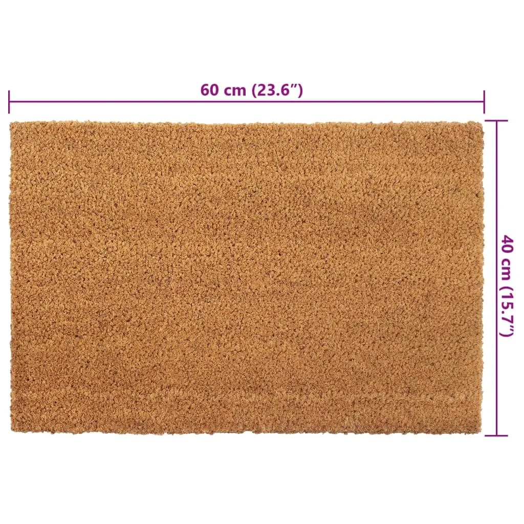 Door Mats 2 pcs Natural 40x60 cm Tufted Coir