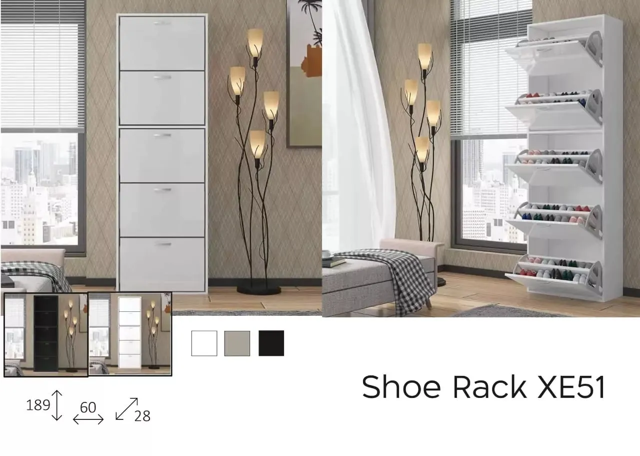 High Gloss Shoe Rack - Modern Shoe Organizer