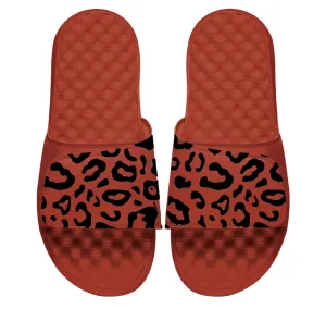 Leopard Slides