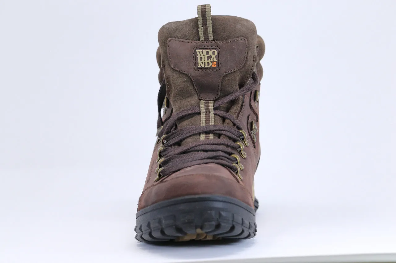 Men's Hiking Boots (#2980118_Dark Brown)