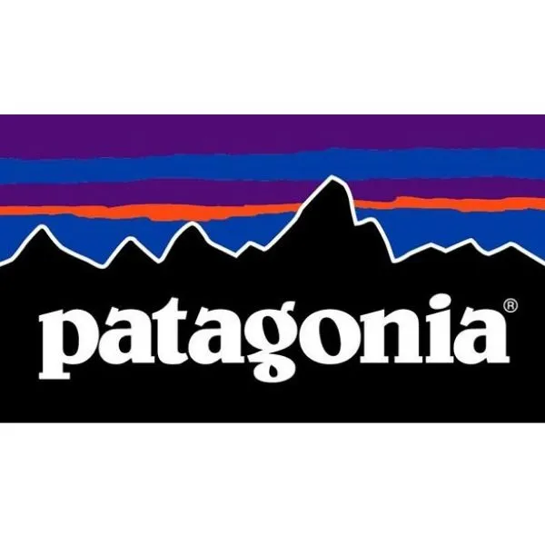 Patagonia Womens Microdini Hoody