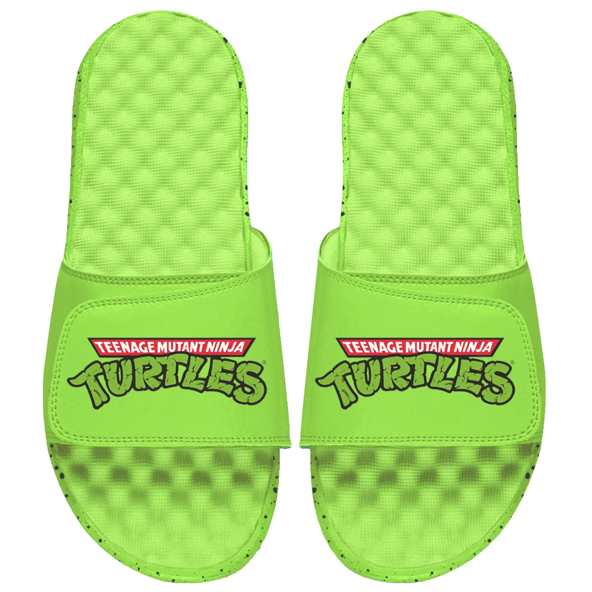 TMNT Primary Logo