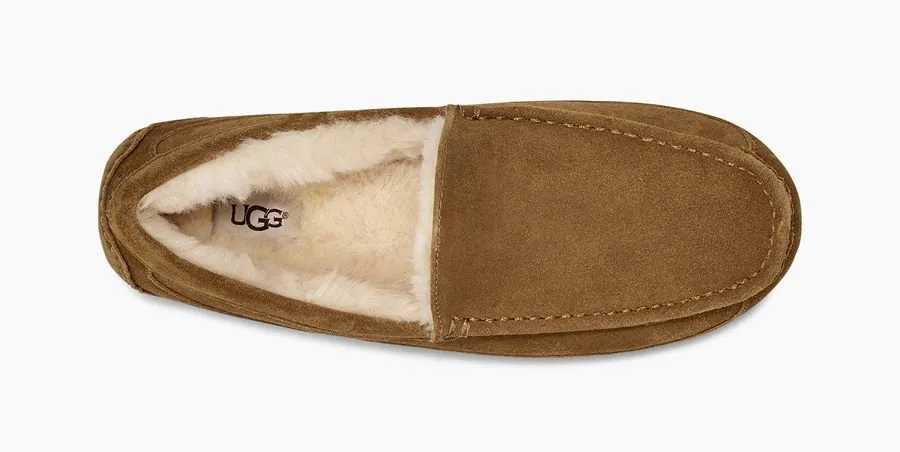 UGG Men's Suede Ascot Loafer Slipper